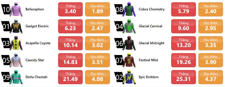 bảng kèo đua ngựa kéo xe ảo tại m88